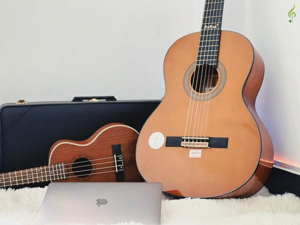 Đàn Guitar Classic Dallas DL-Q39CE