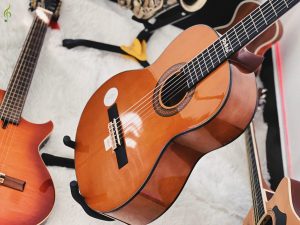 Guitar Dallas DL-Q39CE chính hãng