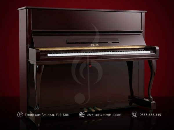 ĐÀN PIANO UPRIGHT SOJIN RS 21D
