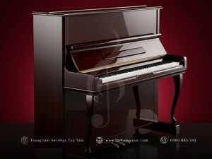 Đàn Piano cơ Sojin RS 21D