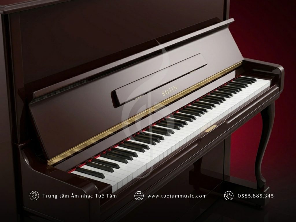 Đàn Piano Sojin RS 21D