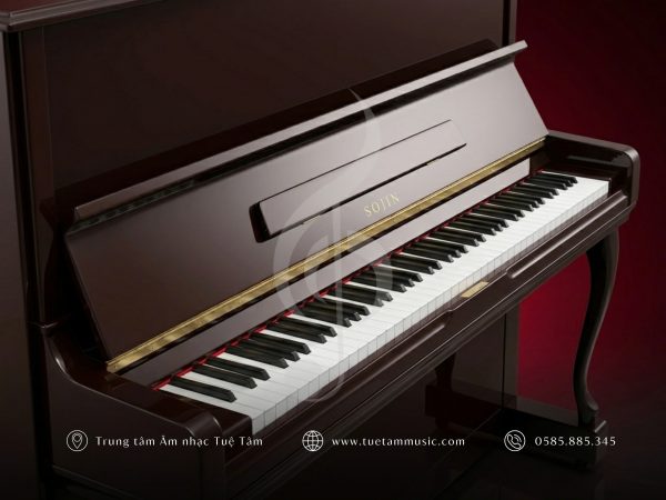 ĐÀN PIANO UPRIGHT SOJIN RS 21D