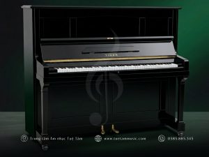 ĐÀN TIGER MODEL 88