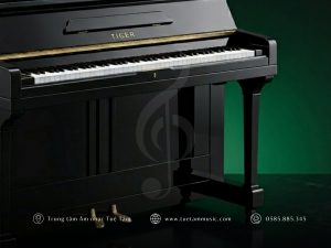 ĐÀN TIGER MODEL 88