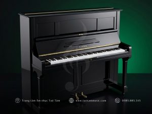 ĐÀN TIGER MODEL 88