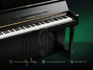 Piano Tiger Model 88 giá rẻ