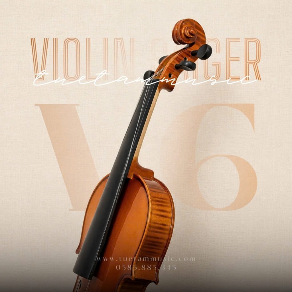Violin Saiger V6