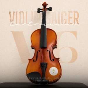 Violin Saiger V6 Giá Rẻ