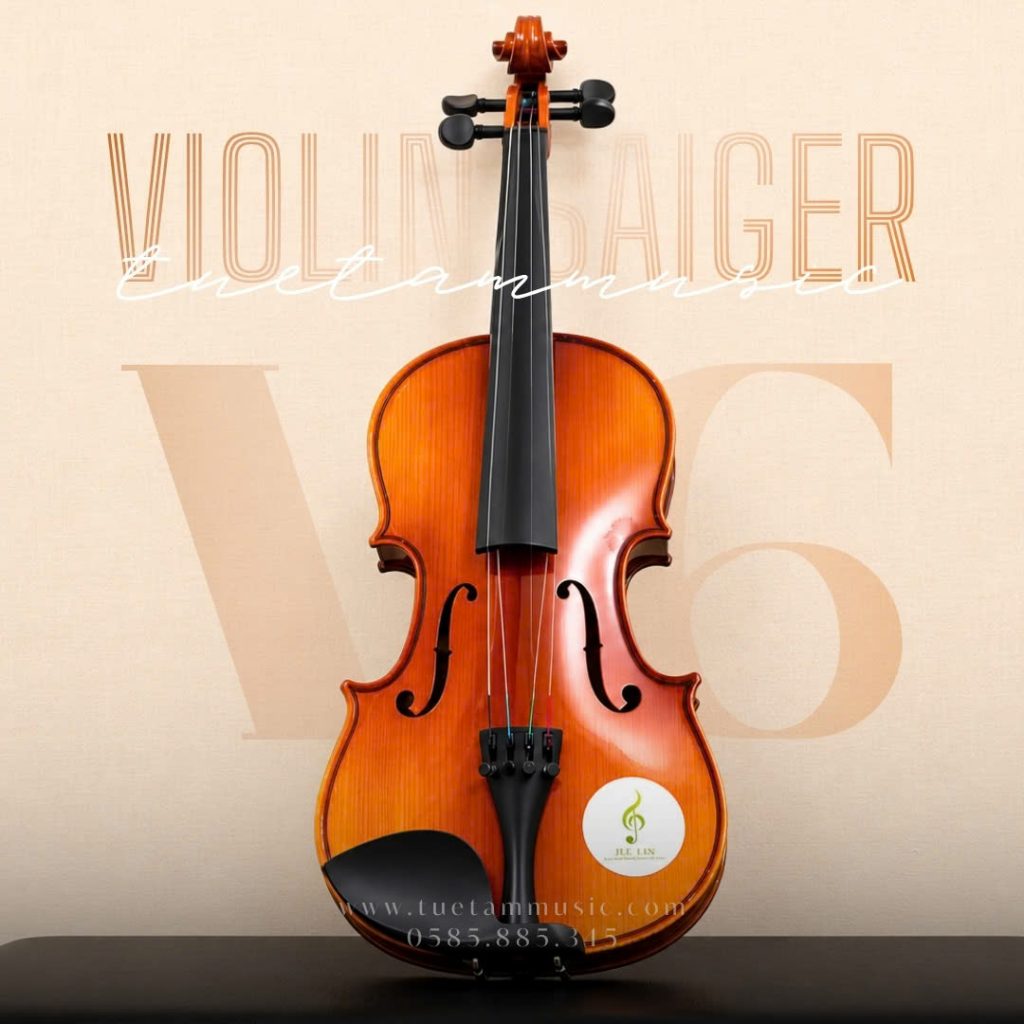 Violin Saiger V6