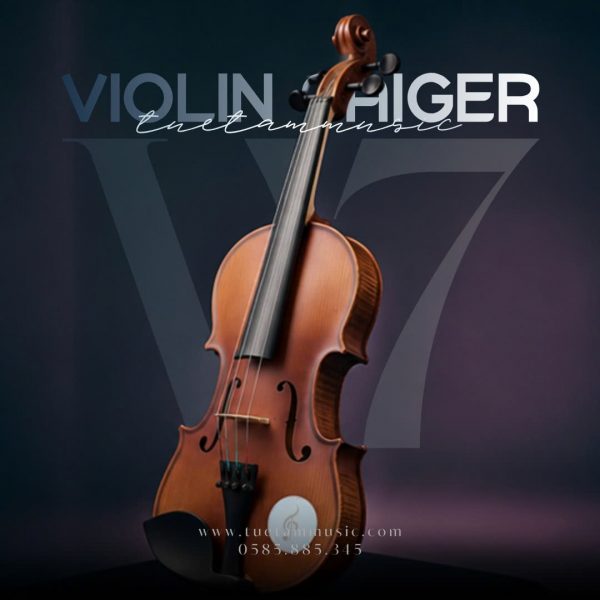 Violin Saiger Giá Rẻ