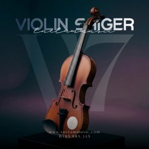 Violin Saiger Giá Rẻ