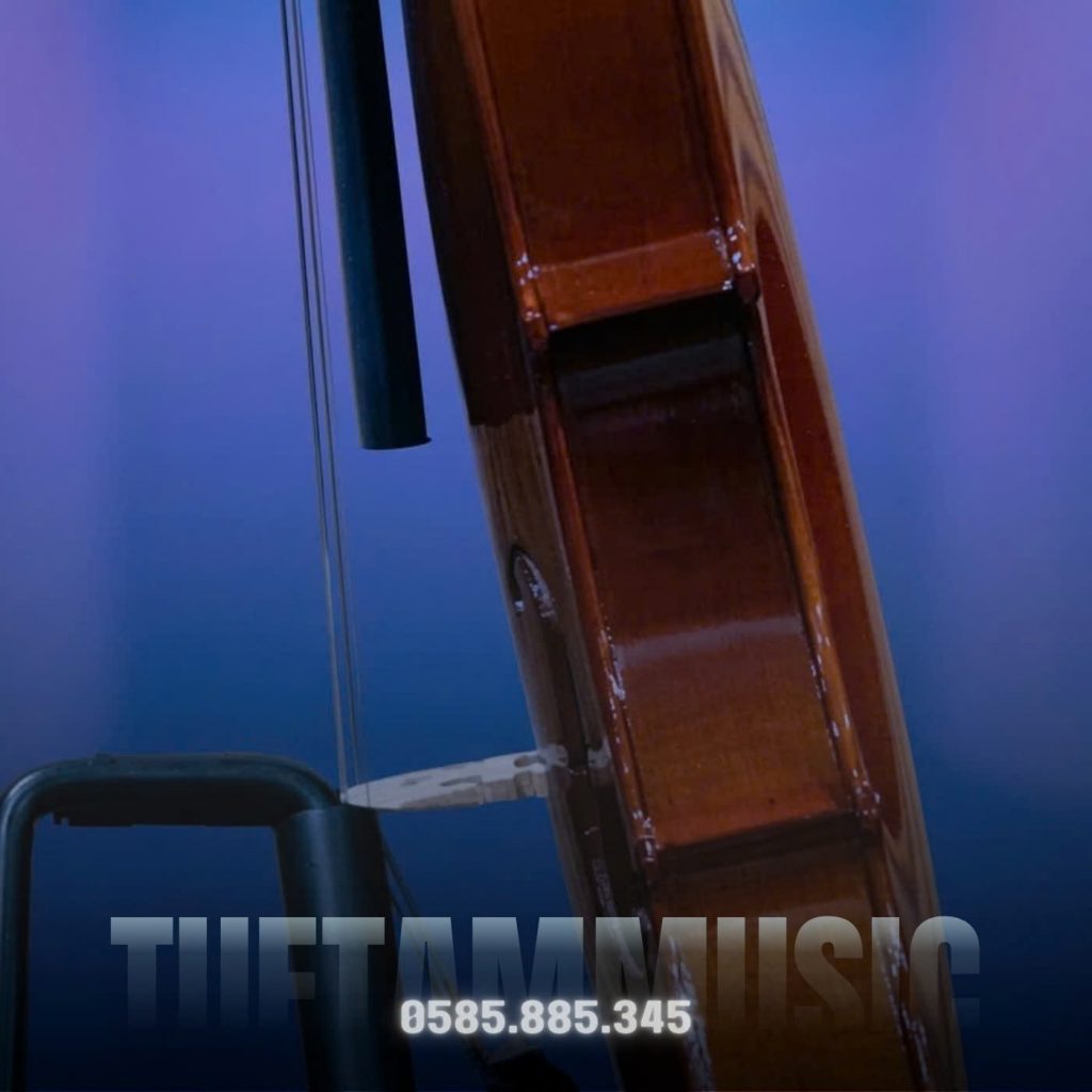 Đàn Violin Omebo RV205