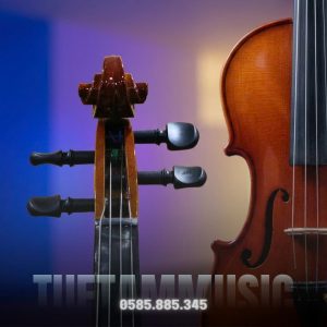 Đàn Violin giá dưới 2.500.000đ