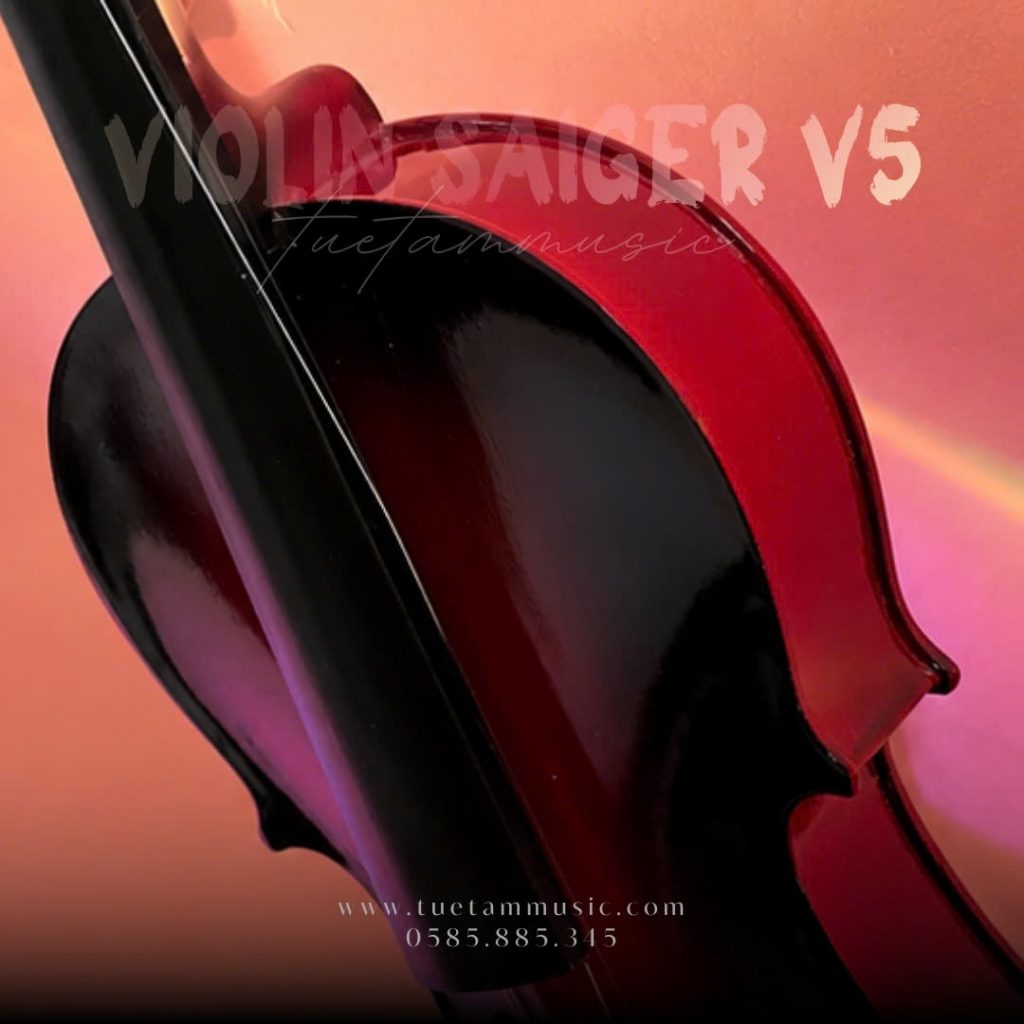 Đàn Violin nhiều màu