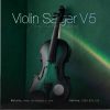Đàn Violin nhiều màu