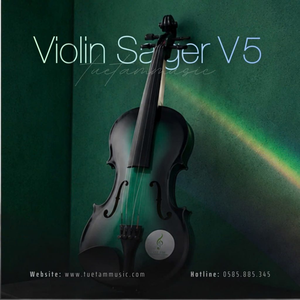 Đàn Violin nhiều màu
