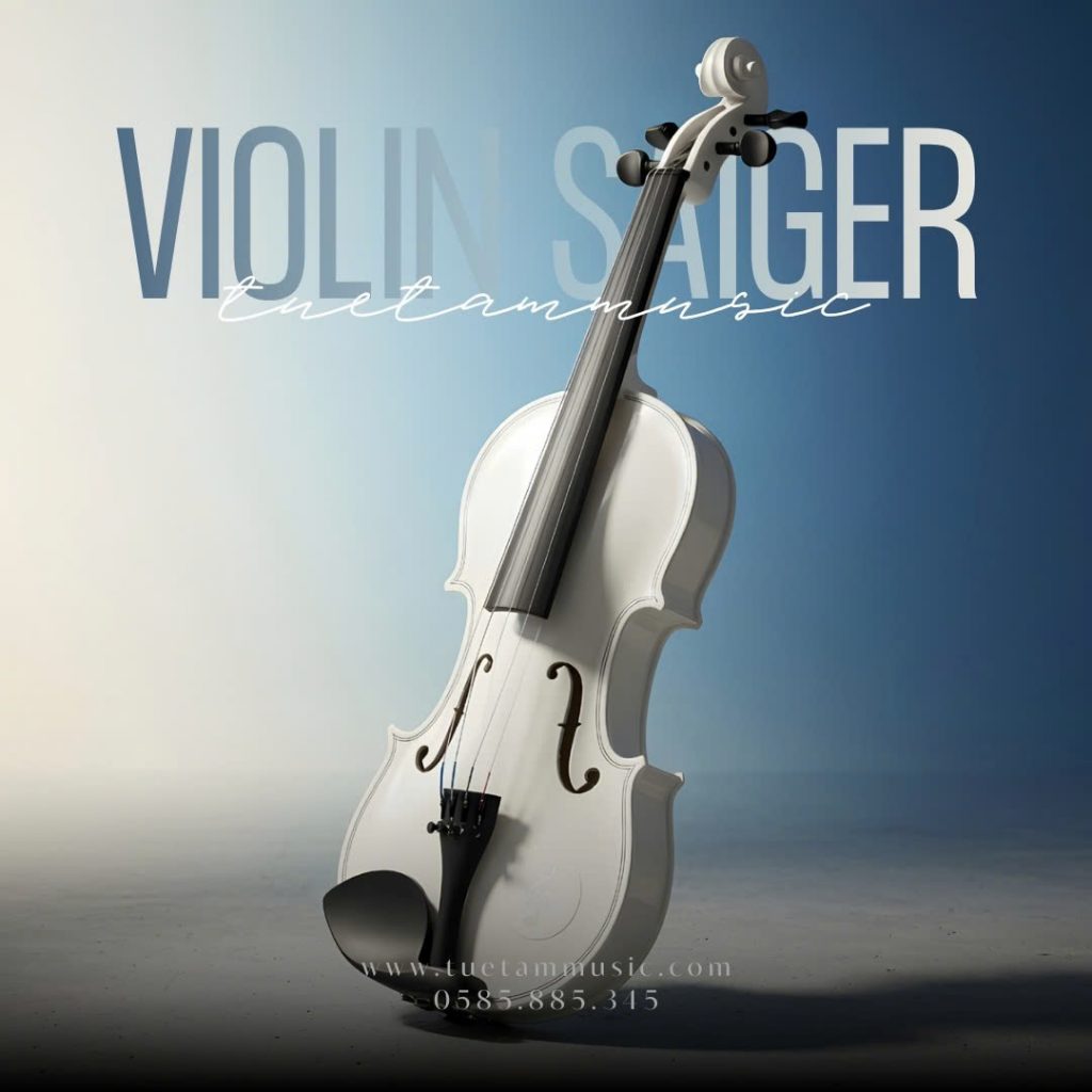 Violin Saiger V5
