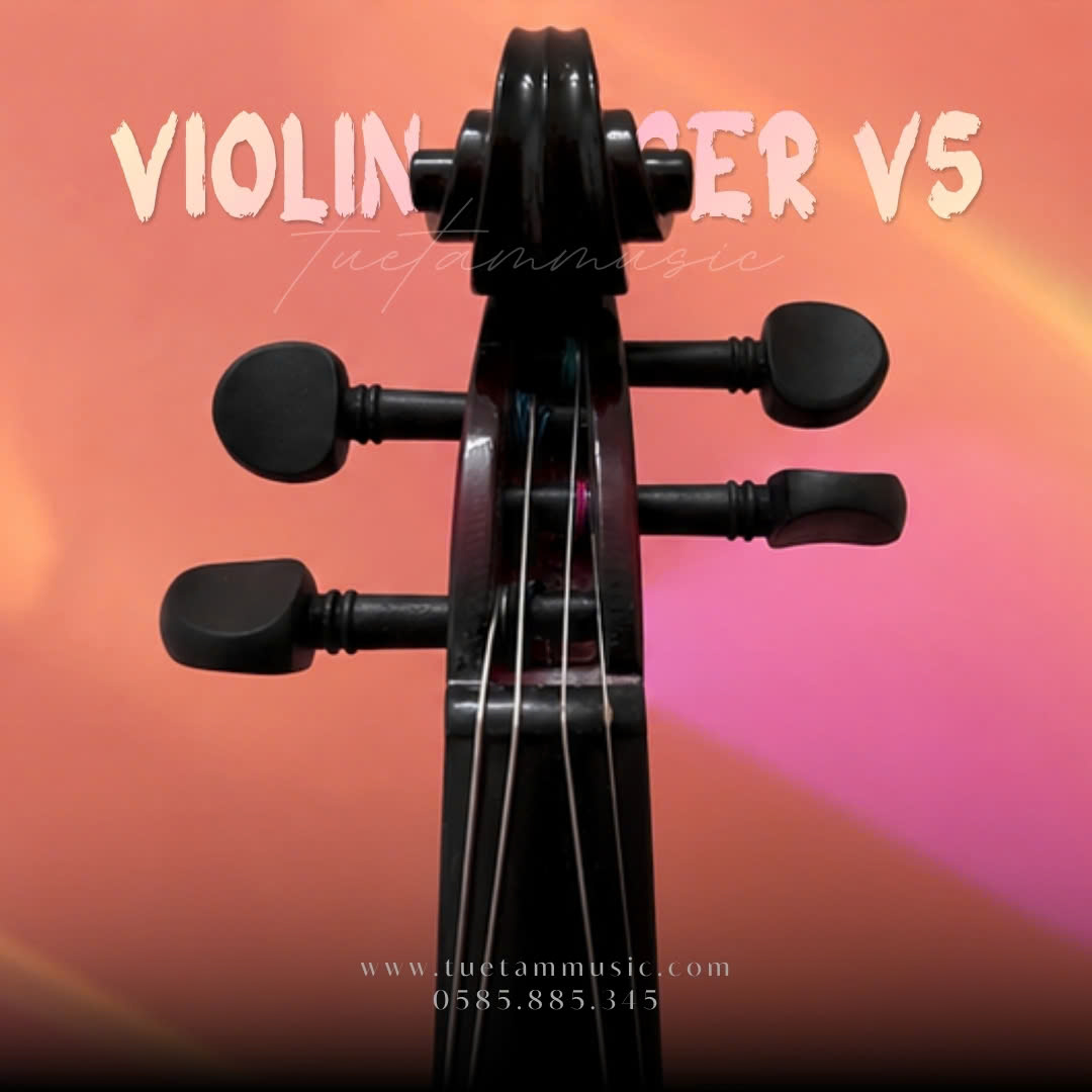 Đàn Violin Saiger V5 màu nâu đỏ