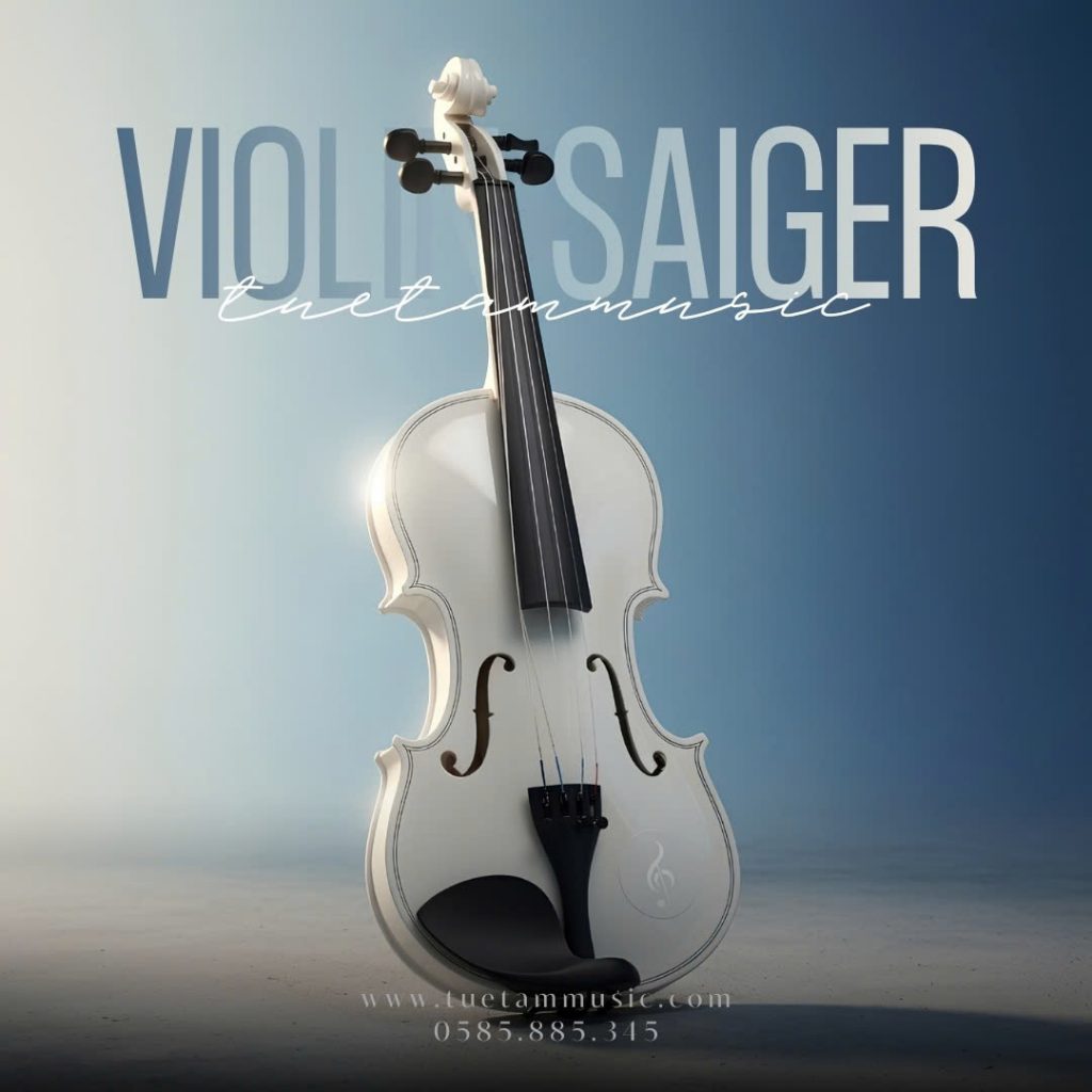 Đàn Violin nhiều màu