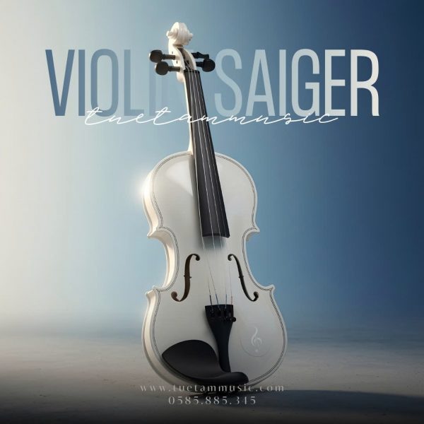 Đàn Violin nhiều màu