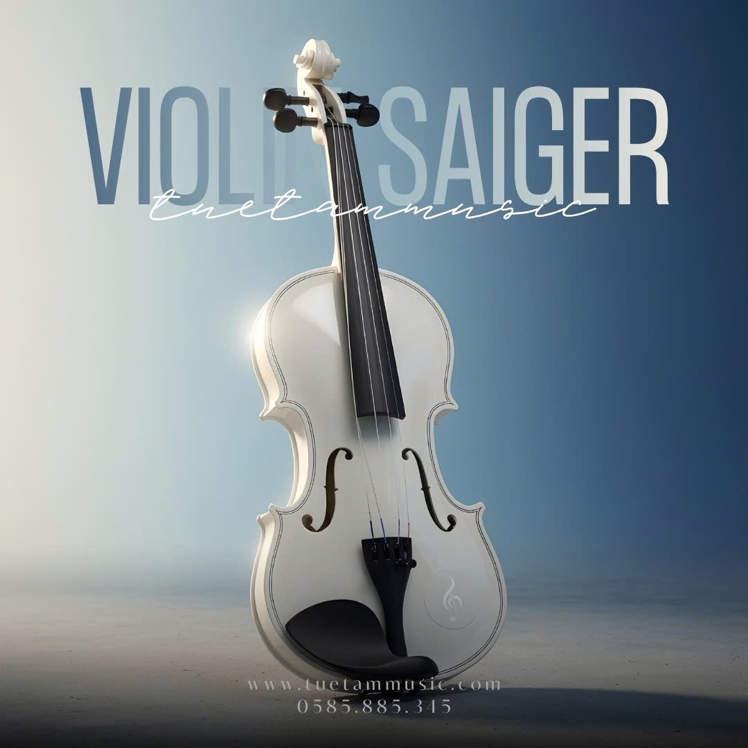 Đàn Violin nhiều màu