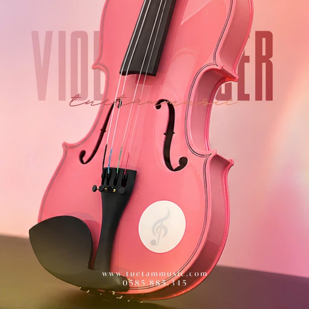 Violin Saiger