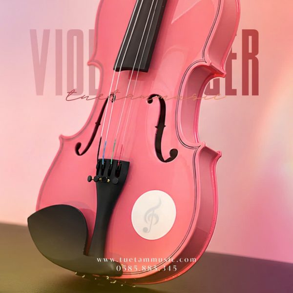 Violin Saiger