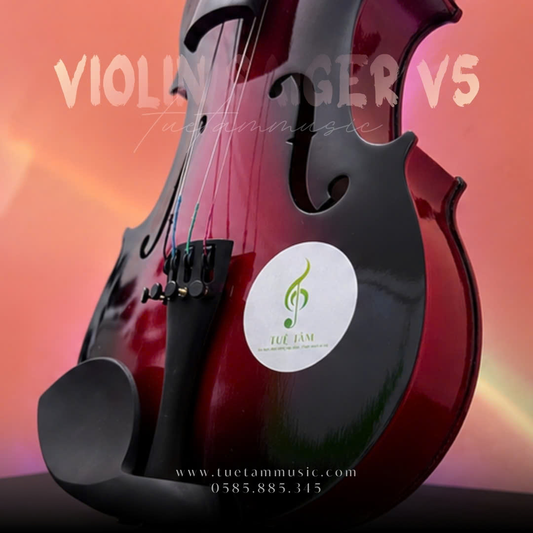 Đàn Violin Saiger V5 màu nâu đỏ