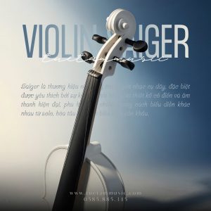 Violin Saiger V5