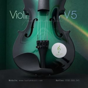 Đàn Violin nhiều màu