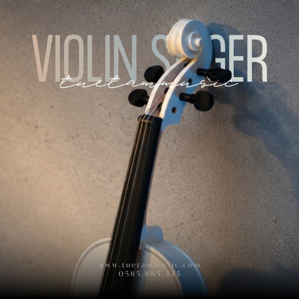 Violin Saiger V5