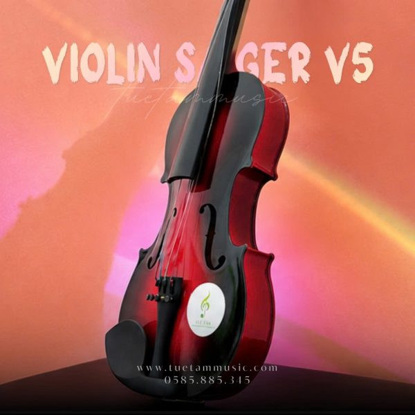 Đàn Violin nhiều màu