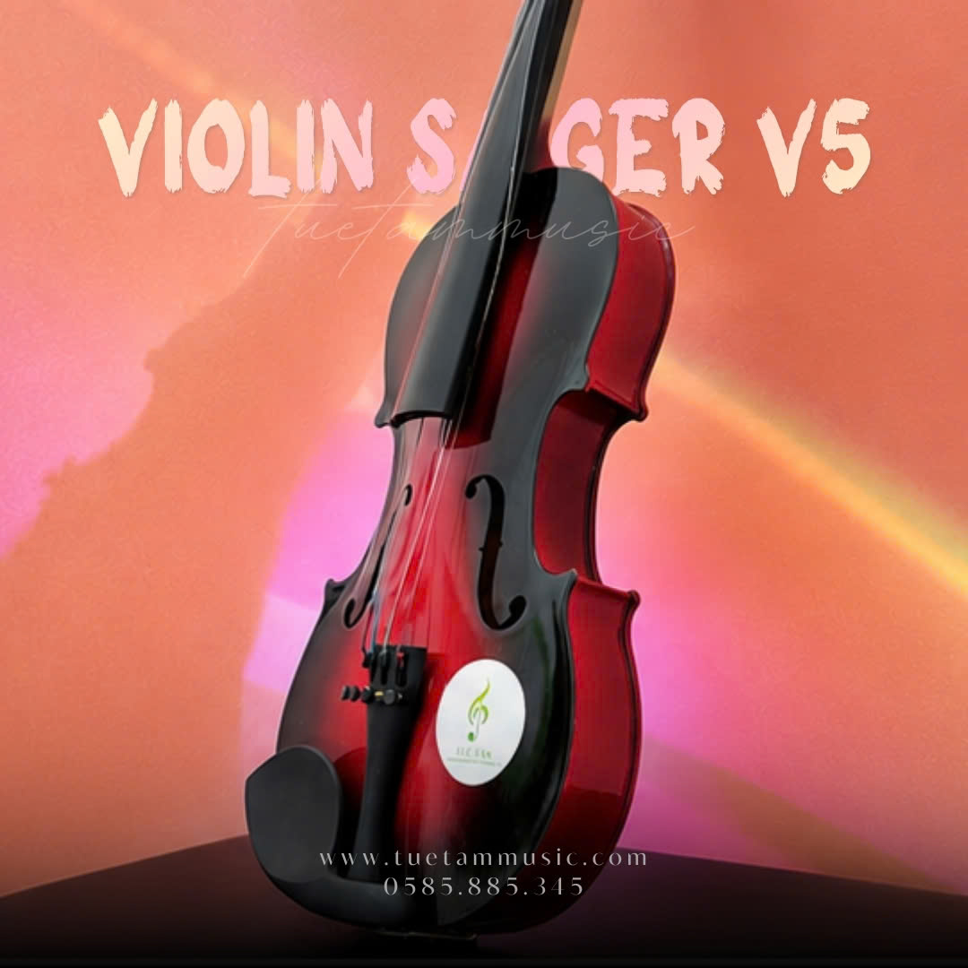 Đàn Violin nhiều màu