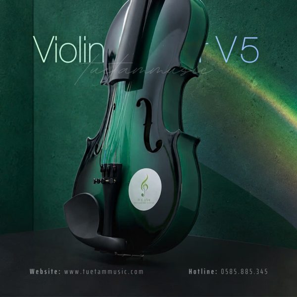 Đàn Violin Saiger V5 màu xanh