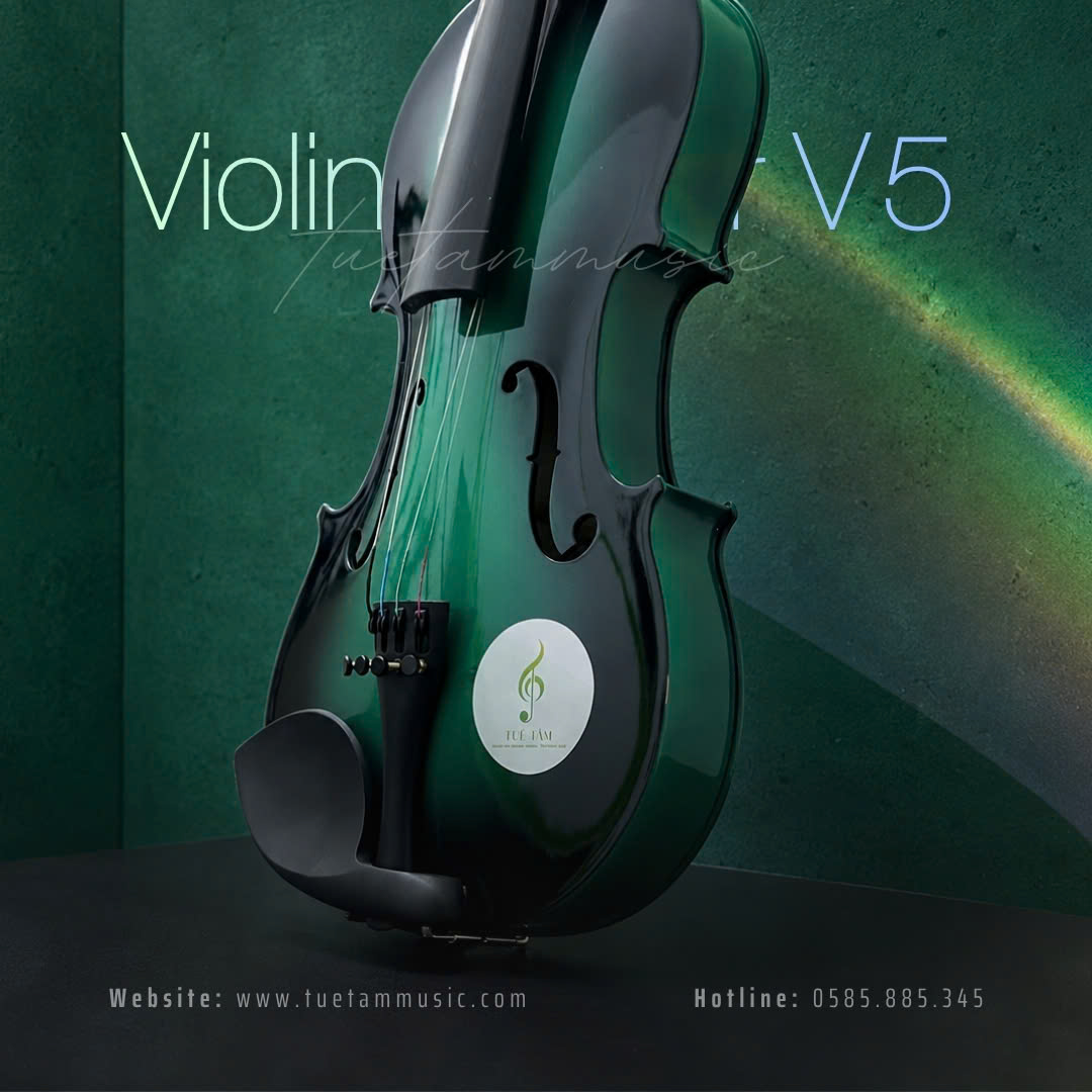 Đàn Violin Saiger V5 màu xanh