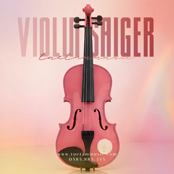 Đàn Violin nhiều màu