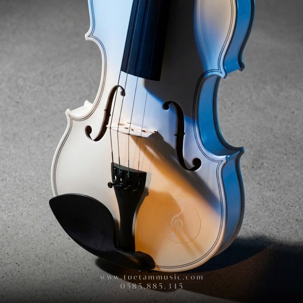 Violin Saiger V5